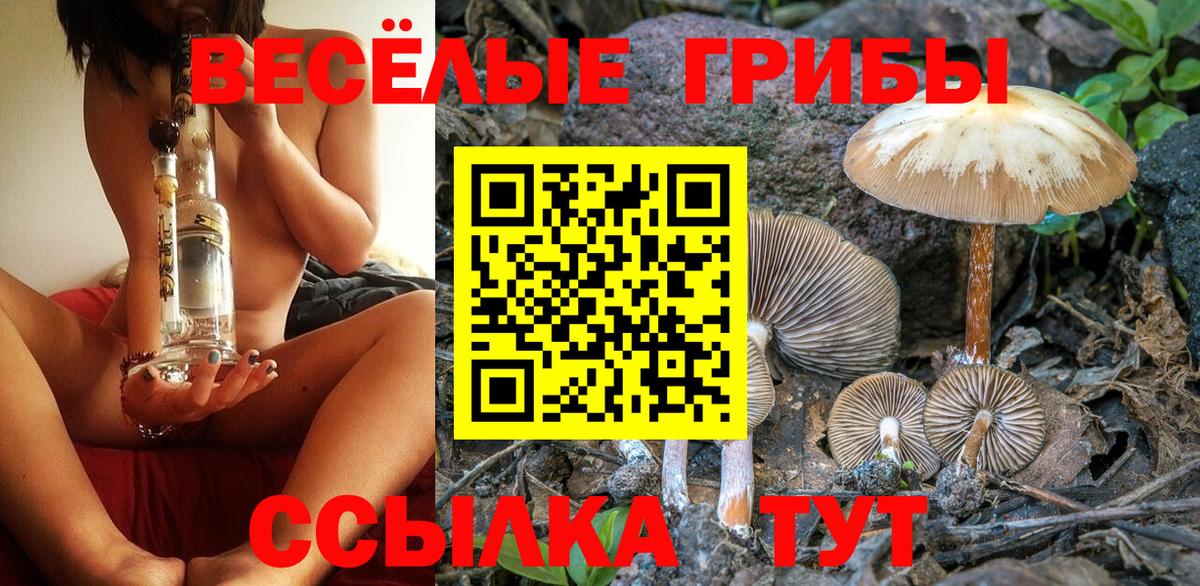 купить закладку  Псилоцибиновые грибы ЛСД  Вход с VPN  Урус-Мартан 