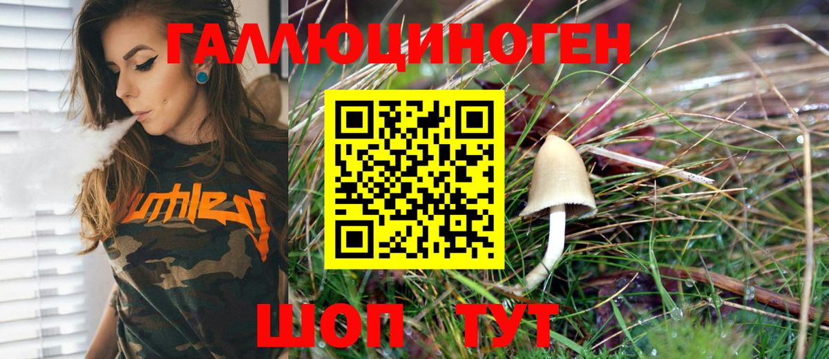 Псилоцибиновые грибы Magic Shrooms Урус-Мартан